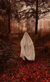 Spooky Season 🎃👻